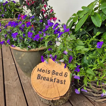 Mols Bed & Breakfast-2